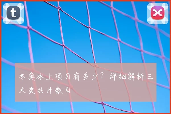 冬奥冰上项目有多少？详细解析三大类共计数目