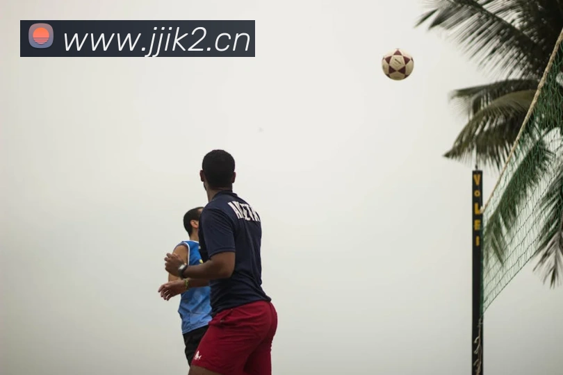 ayx登录入口服务体系